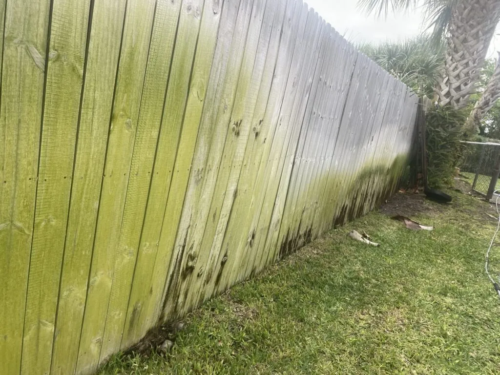 Pressure Washing project photo 31 by Wash and Go
