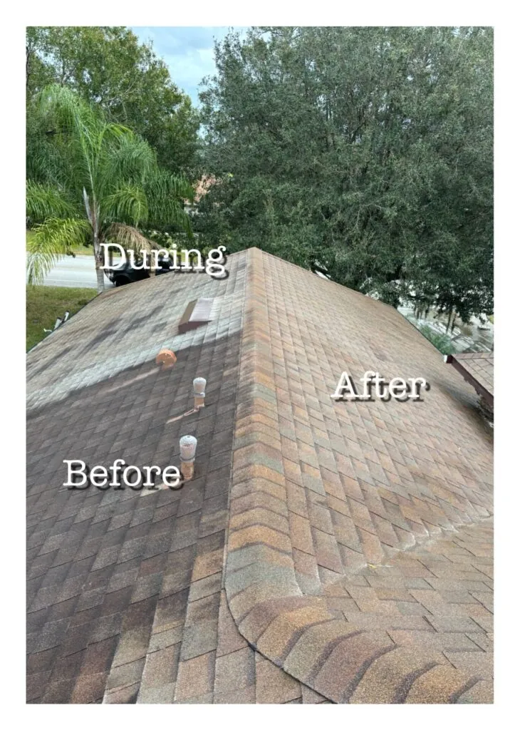 Roof Cleaning project photo 13 by Wash and Go