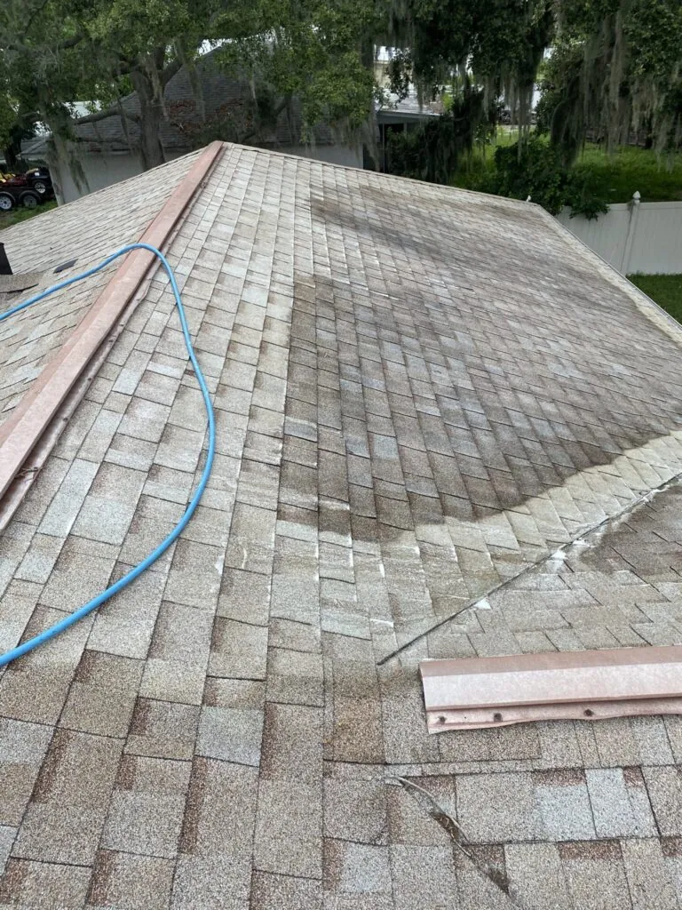 Roof Cleaning project photo 27 by Wash and Go